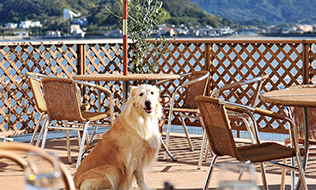 浜名湖レークサイドプラザ　わんダフル