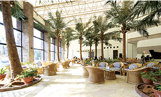 日帰り・デイユース（昼食・温泉・お部屋休憩）